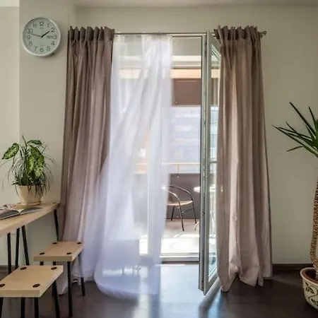 Bright Spacious Studio In Klaipeda