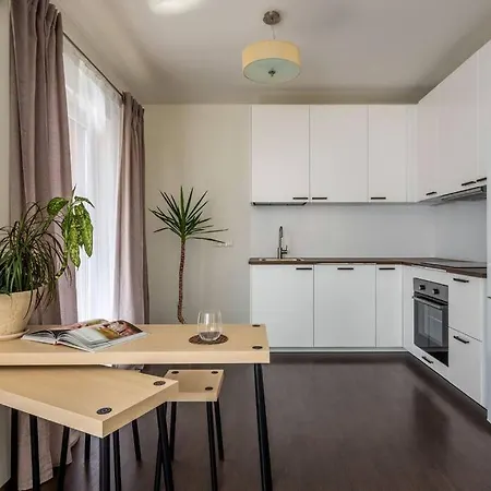 Apartment Bright Spacious Studio In Klaipeda