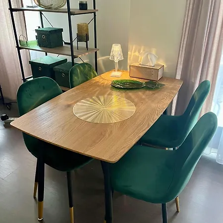 Apartment Bright Spacious Studio In Klaipeda